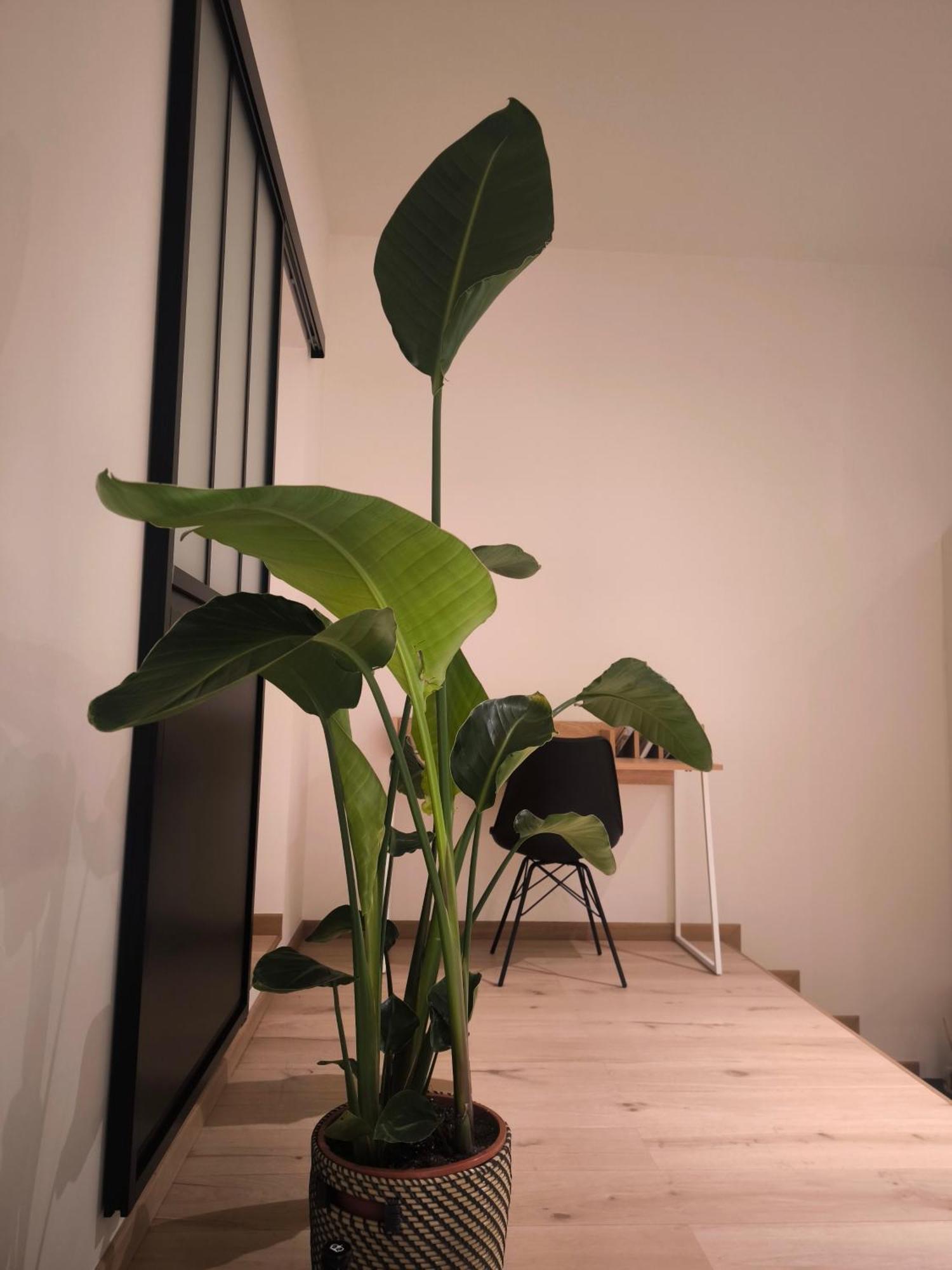 Apartmán Le Castel Mosan Namur Exteriér fotografie