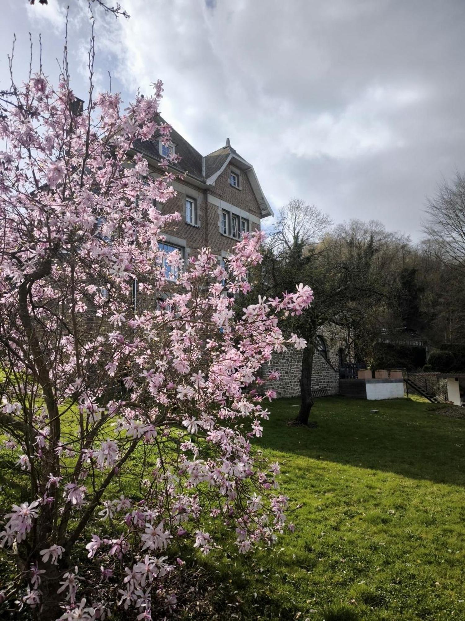 Apartmán Le Castel Mosan Namur Exteriér fotografie